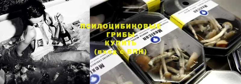 где можно купить наркотик  Кинель  blacksprut ссылка  Псилоцибиновые грибы мухоморы 